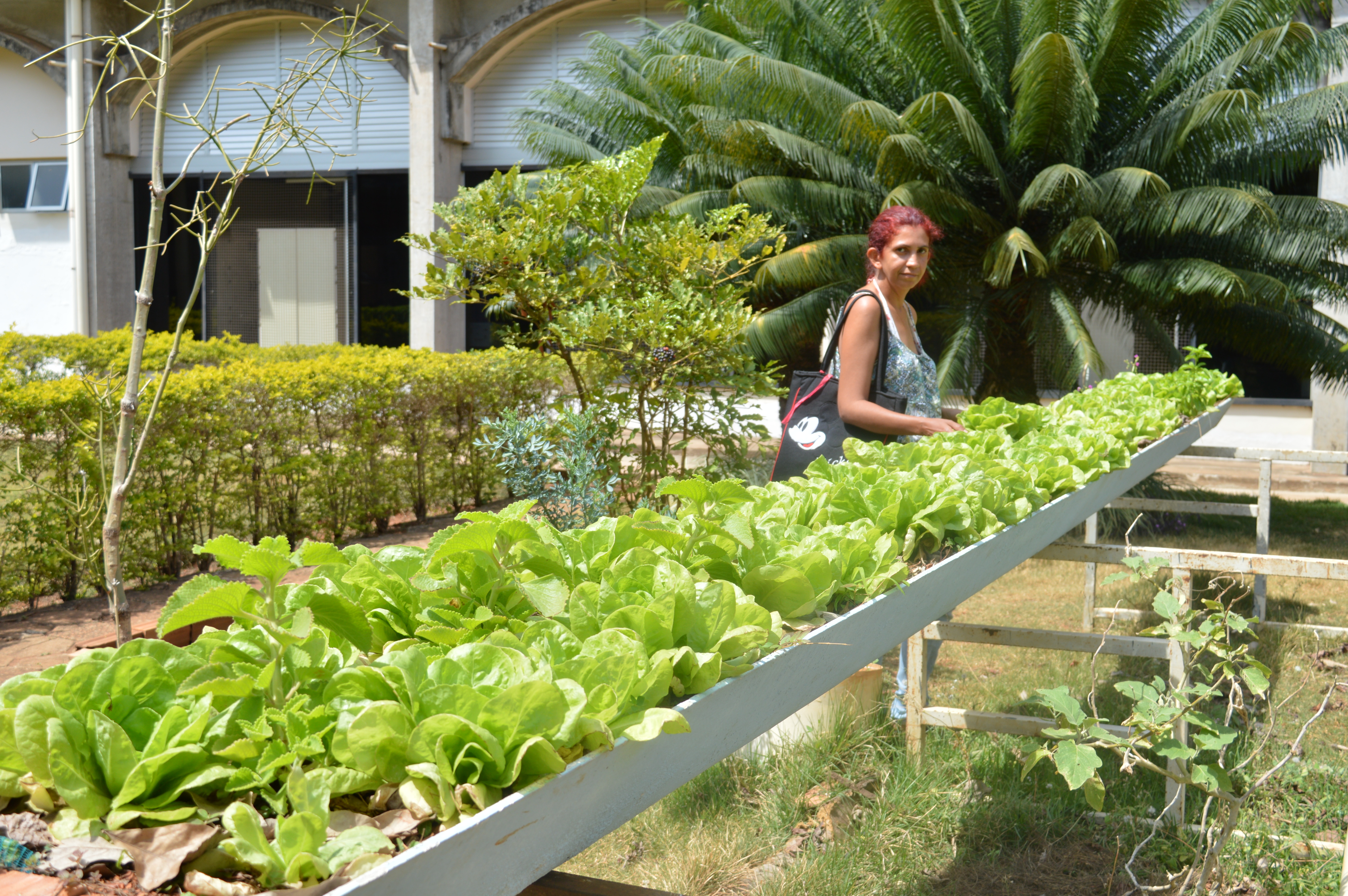 Enquanto acompanha a filha diariamente, Ludmilla Marques colabora na horta do Câmpus Goiânia.